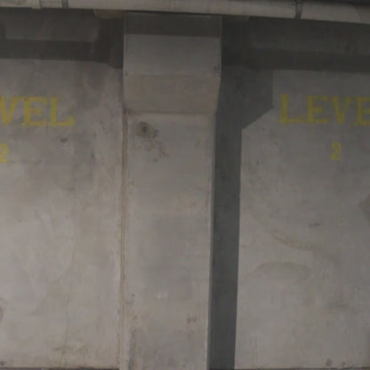 Pink “LDCS” Hoodie